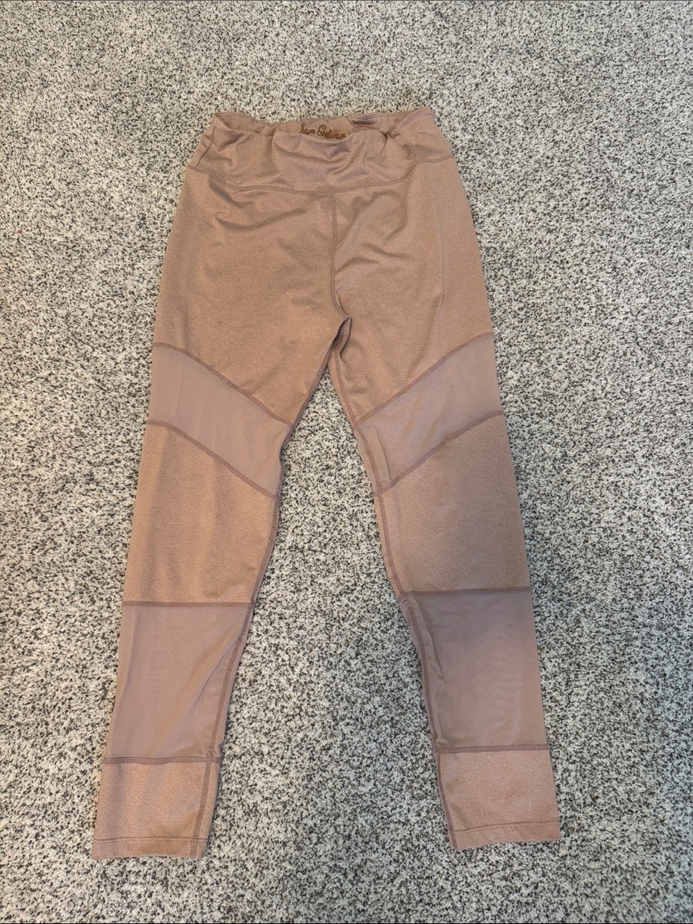 Sam Edelman Dusty Rose Mesh Panel Leggings
